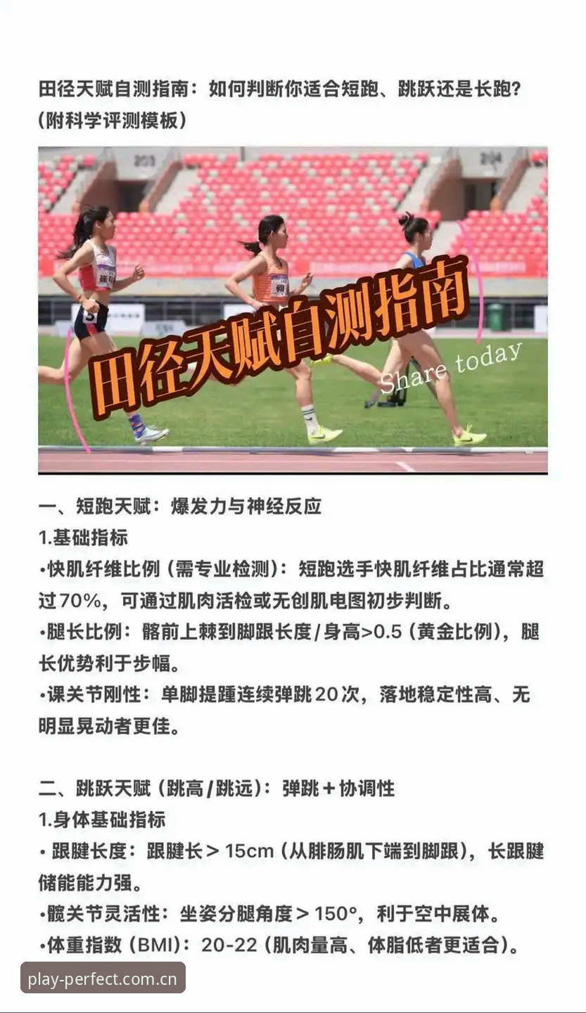 深度揭秘：完美体育怎么样？老用户亲测体验与隐藏技巧全解析